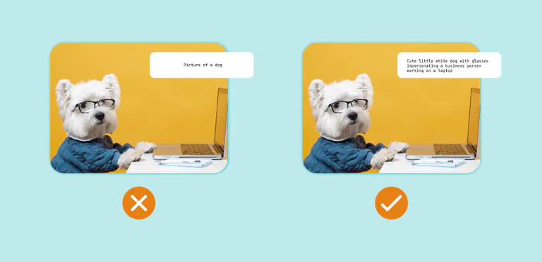 Have text alternatives for your image and media content